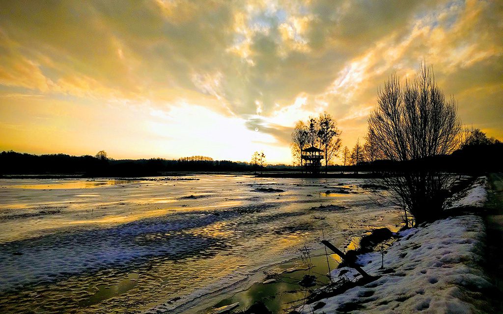 Białowieża National Park