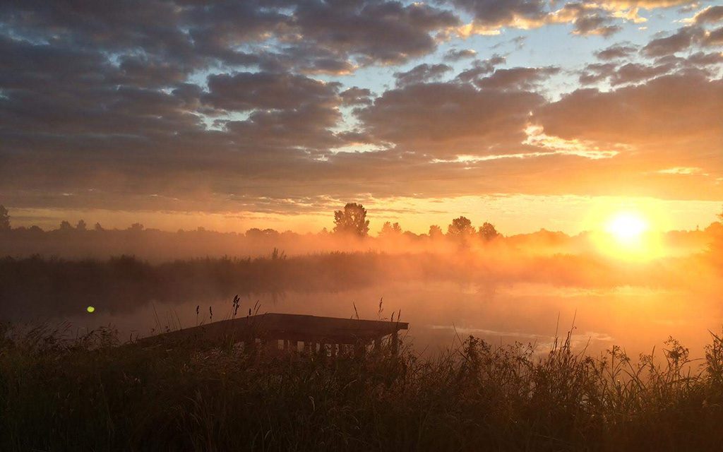 Biebrza National Park