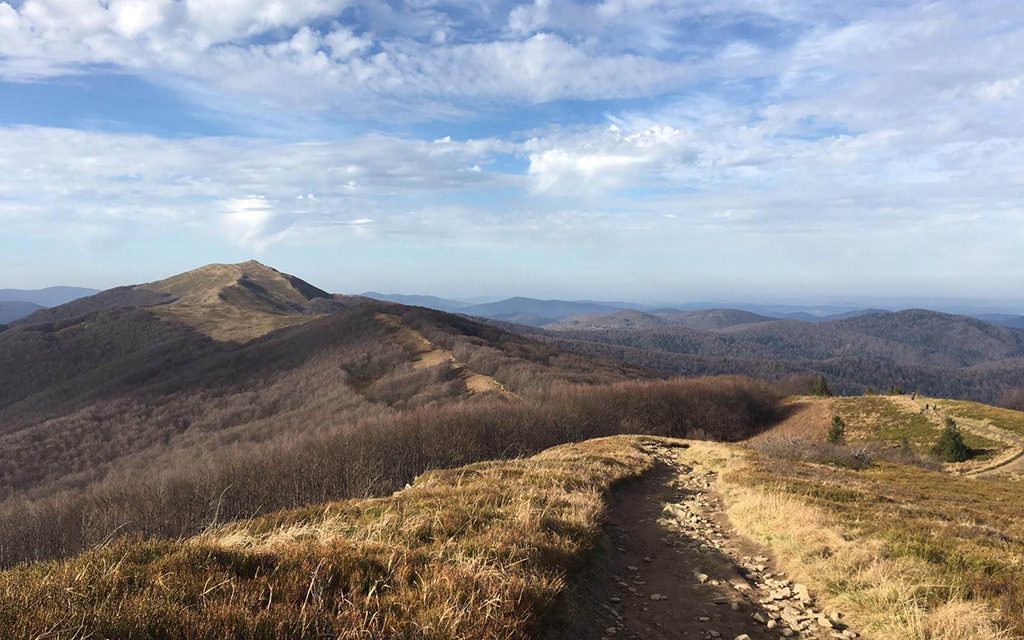 Bieszczady National Park