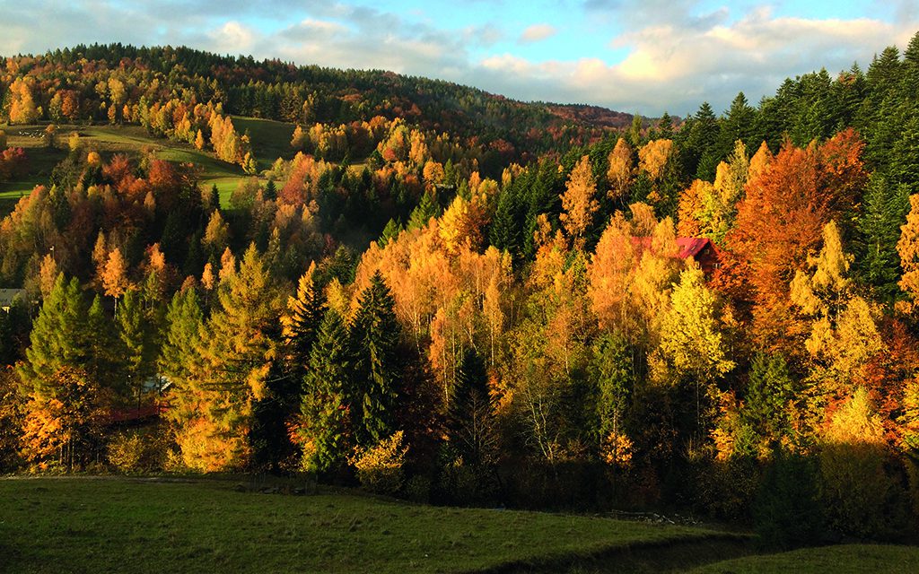 Ojcowski National Park