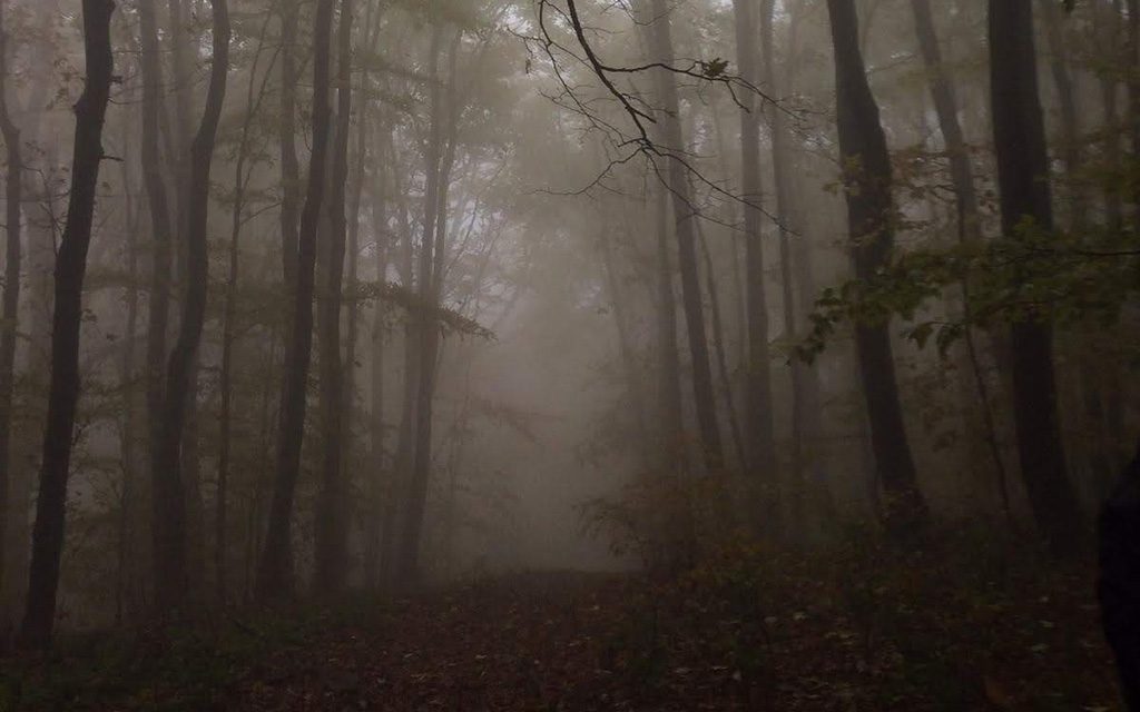 Słowiński National Park